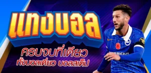 แทงบอลเดี่ยว